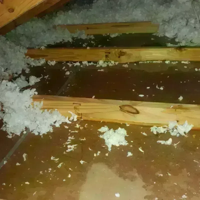 Attic Water Damage in Oroville, CA