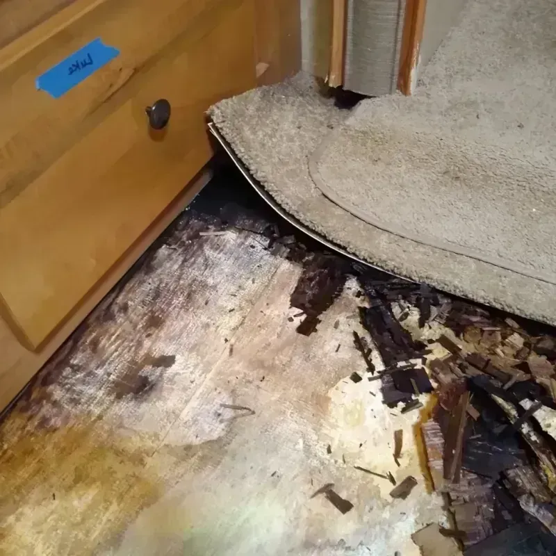 Best Wood Floor Water Damage Service in Oroville, CA